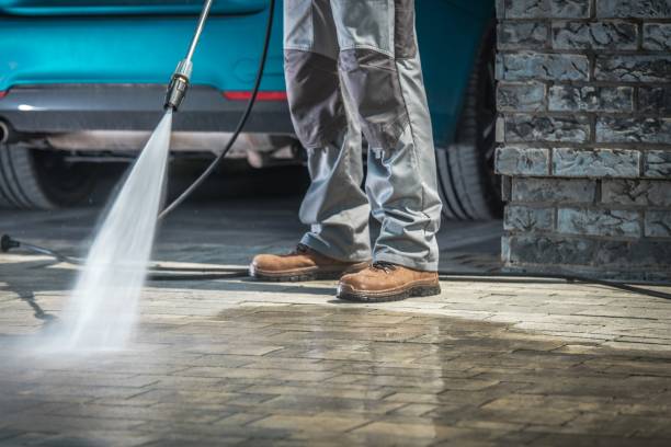 Best Roof Cleaning and Mildew Removal in Crystal, MN