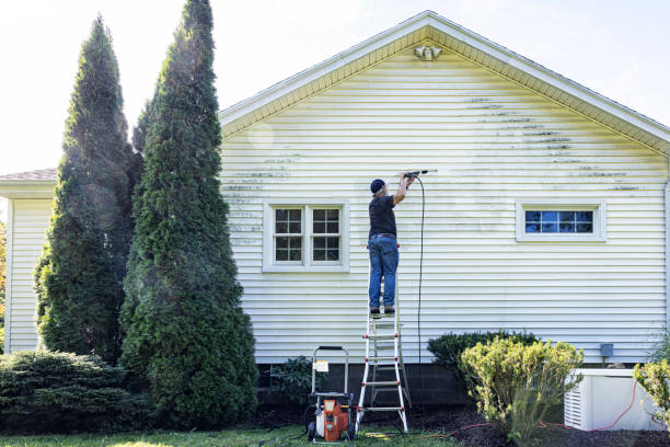 Best Vinyl Siding Pressure Washing in Crystal, MN