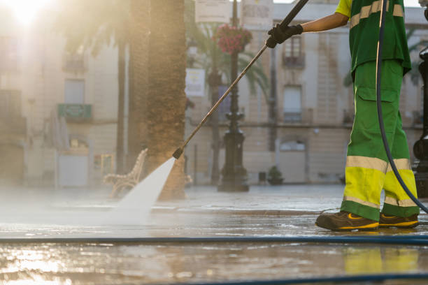 Best Driveway Cleaning and Restoration in Crystal, MN